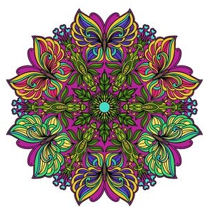 Meet your Posher, Jessie